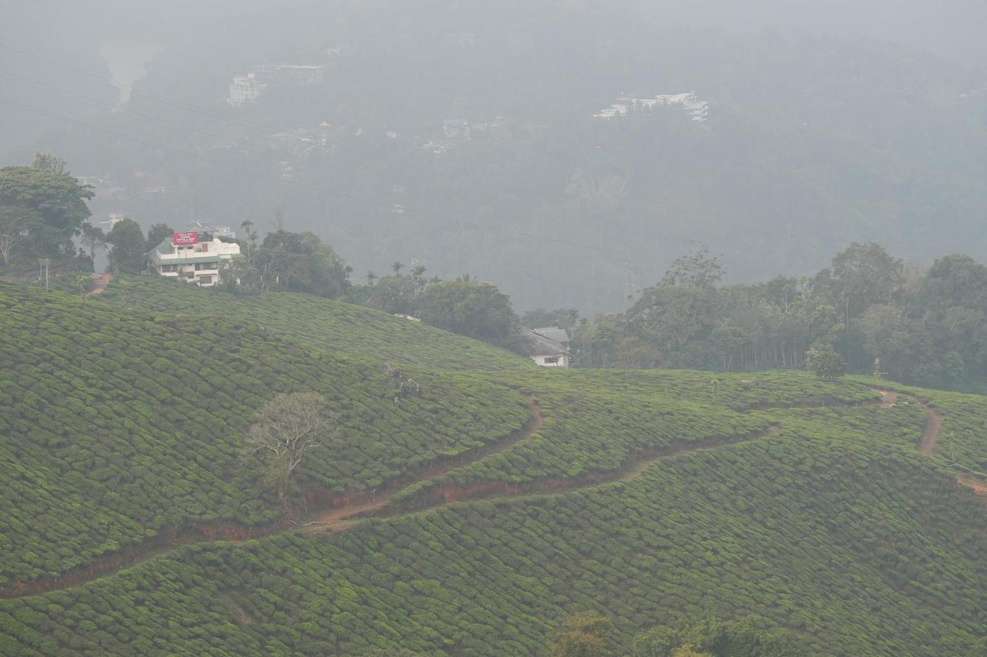 Misty Bush Munnar Bed and Breakfast Eksteriør billede